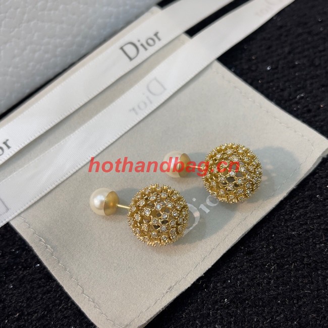 Dior Earrings CE9495