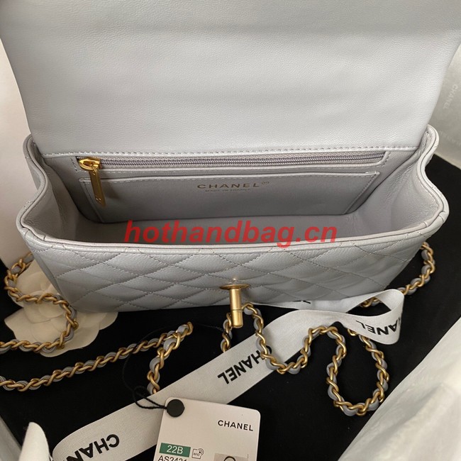 Chanel MINI FLAP BAG WITH TOP HANDLE AS2431 gray