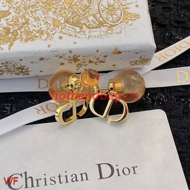 Dior Earrings CE9820