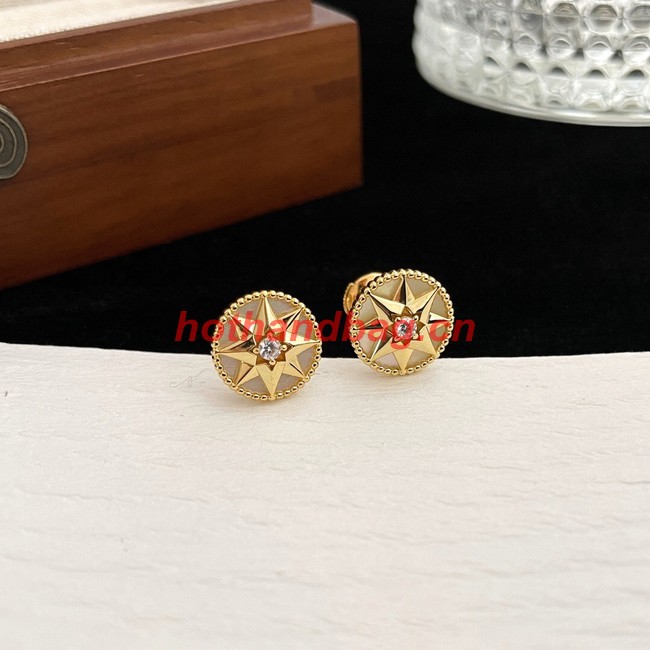 Dior Earrings CE9913