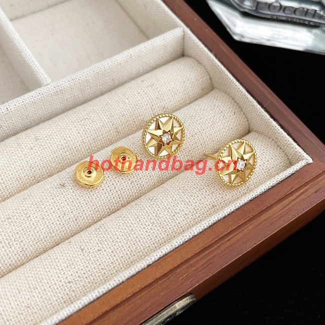 Dior Earrings CE9913