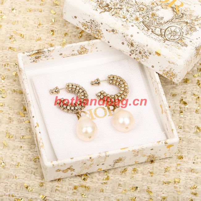 Dior Earrings CE9955