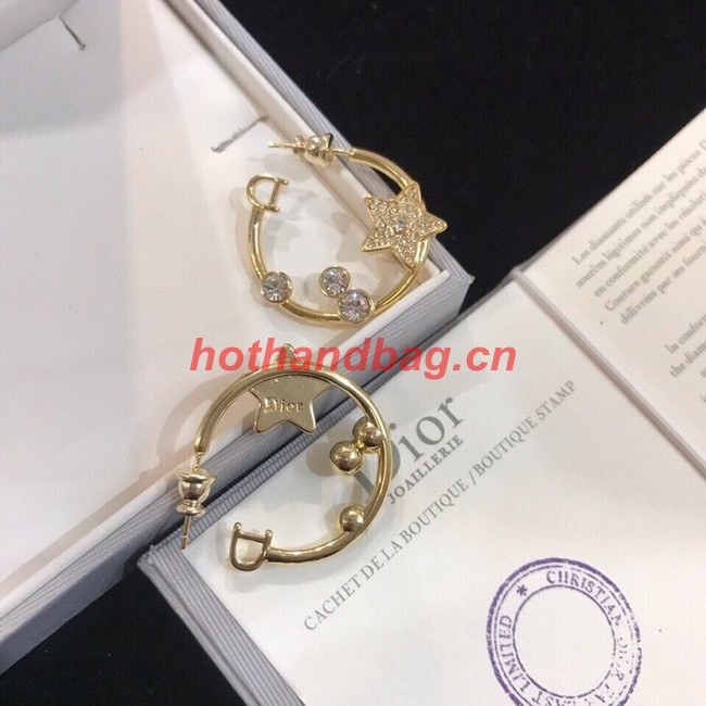 Dior Earrings CE9941