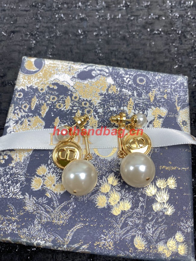 Dior Earrings CE10095