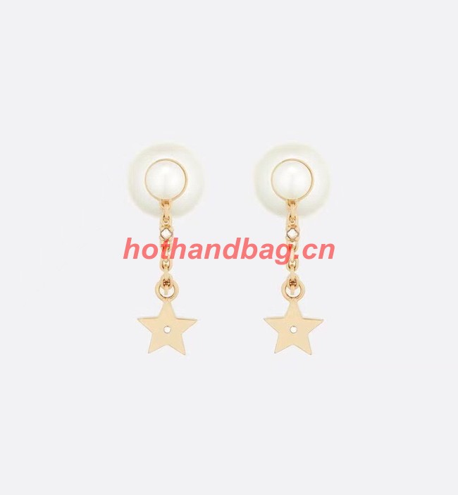 Dior Earrings CE10148