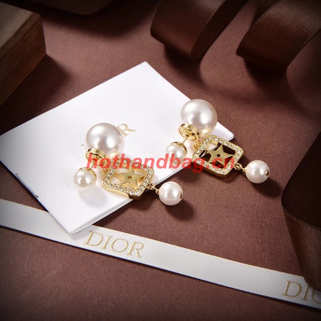 Dior Earrings CE10150