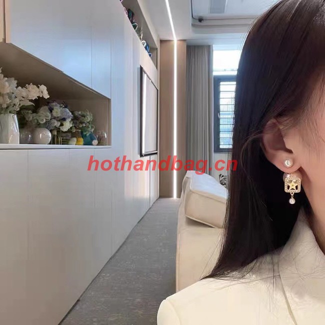 Dior Earrings CE10150