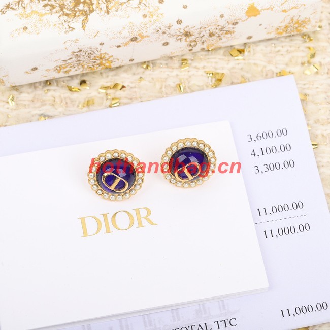 Dior Earrings CE10177