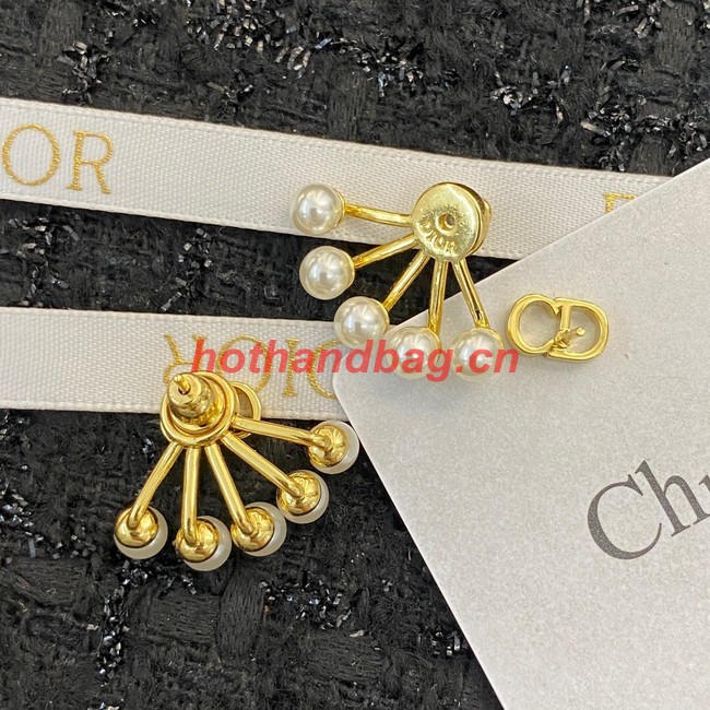 Dior Earrings CE10205