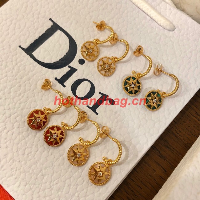 Dior Earrings CE10248