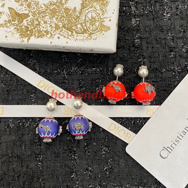 Dior Earrings CE10259