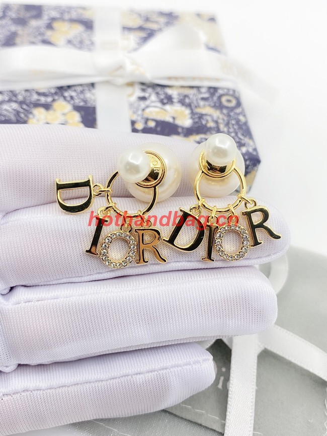 Dior Earrings CE10290