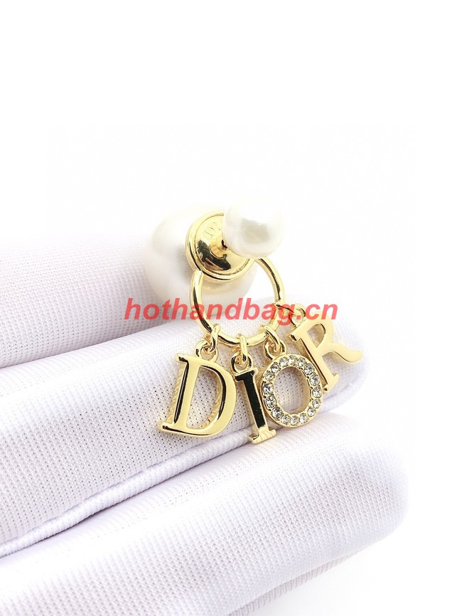 Dior Earrings CE10290