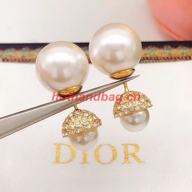 Dior Earrings CE10312