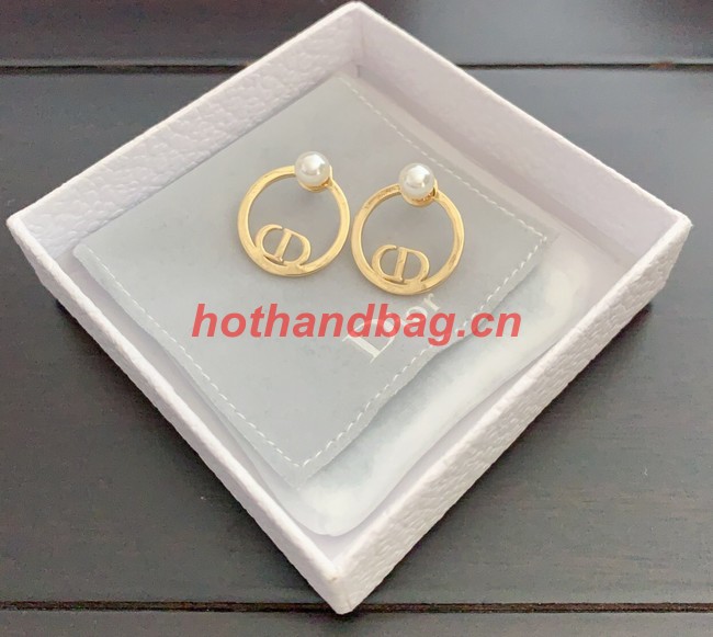 Dior Earrings CE10347