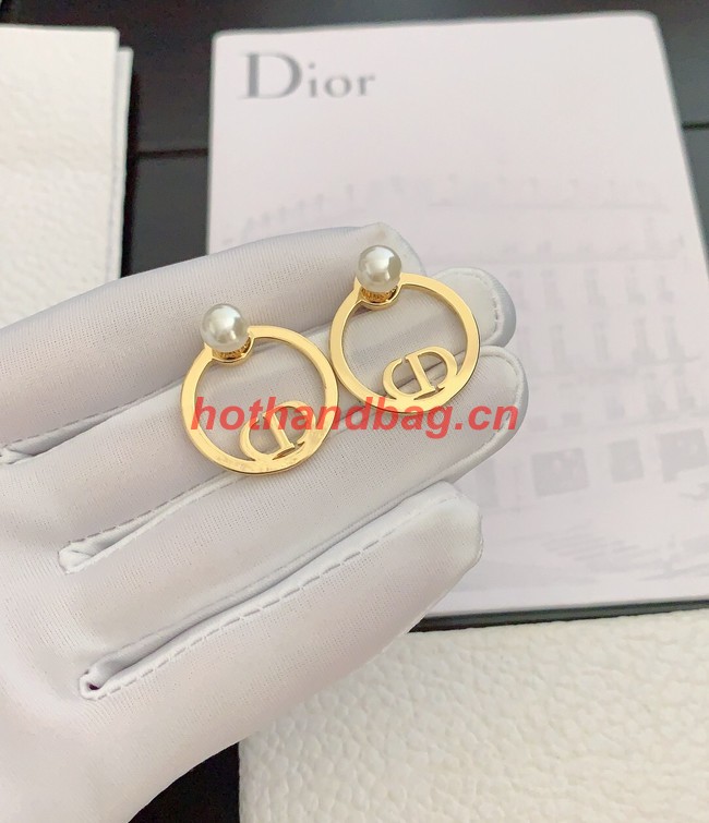 Dior Earrings CE10347