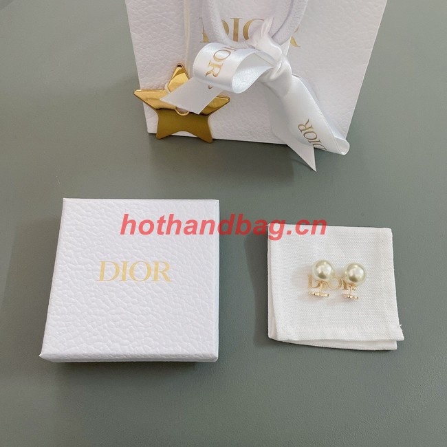 Dior Earrings CE10373