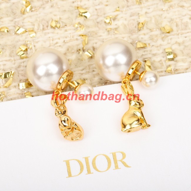 Dior Earrings CE10428