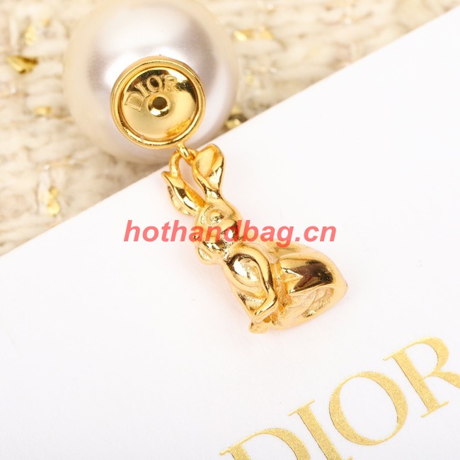 Dior Earrings CE10428