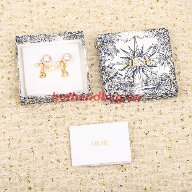 Dior Earrings CE10428