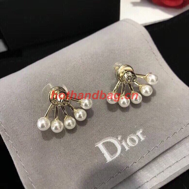 Dior Earrings CE10651