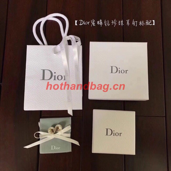 Dior Earrings CE10657