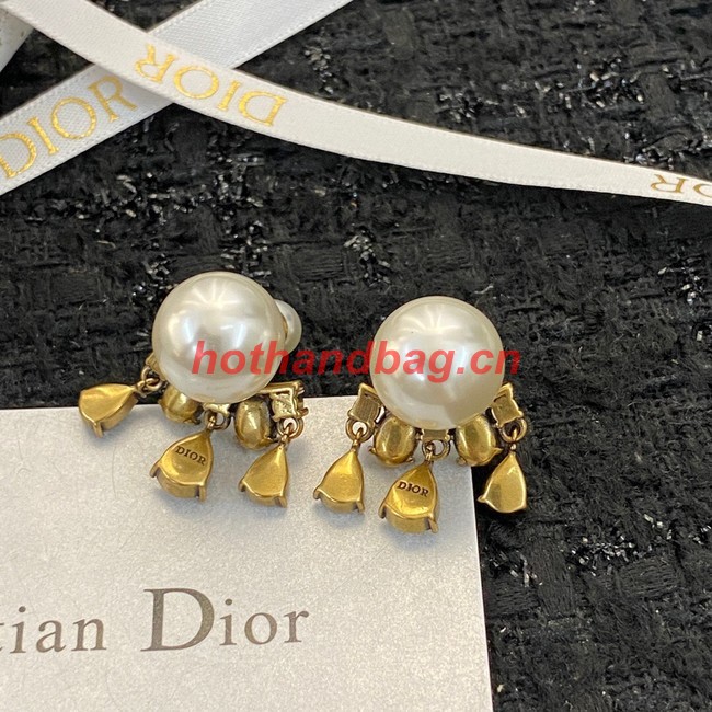 Dior Earrings CE10723