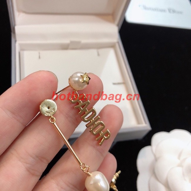 Dior Earrings CE10743