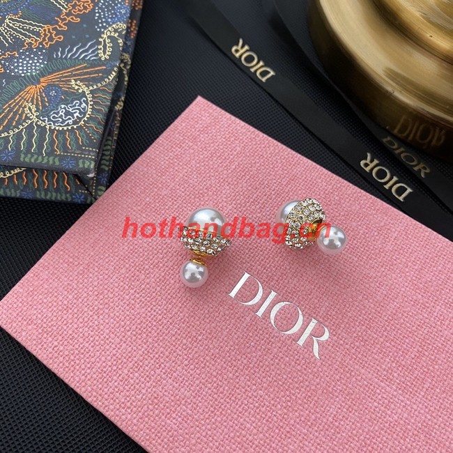 Dior Earrings CE10772