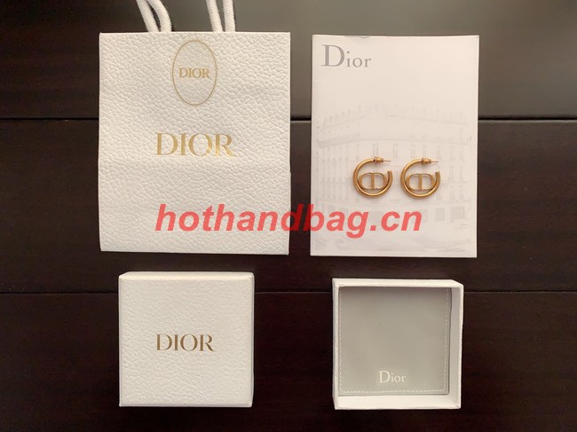 Dior Earrings CE10839