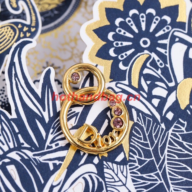 Dior Earrings CE10870