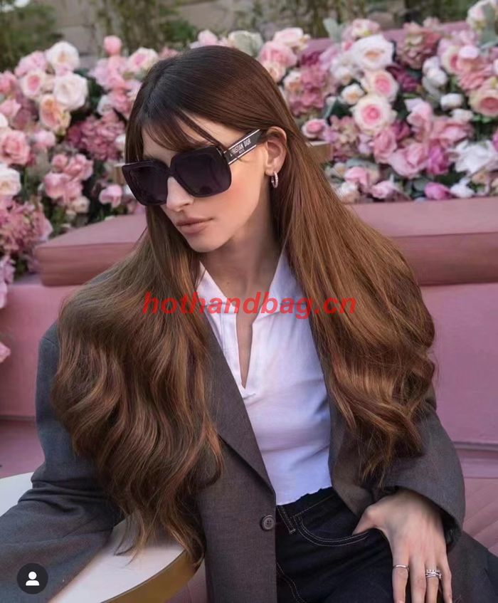 Dior Sunglasses Top Quality DIS02188