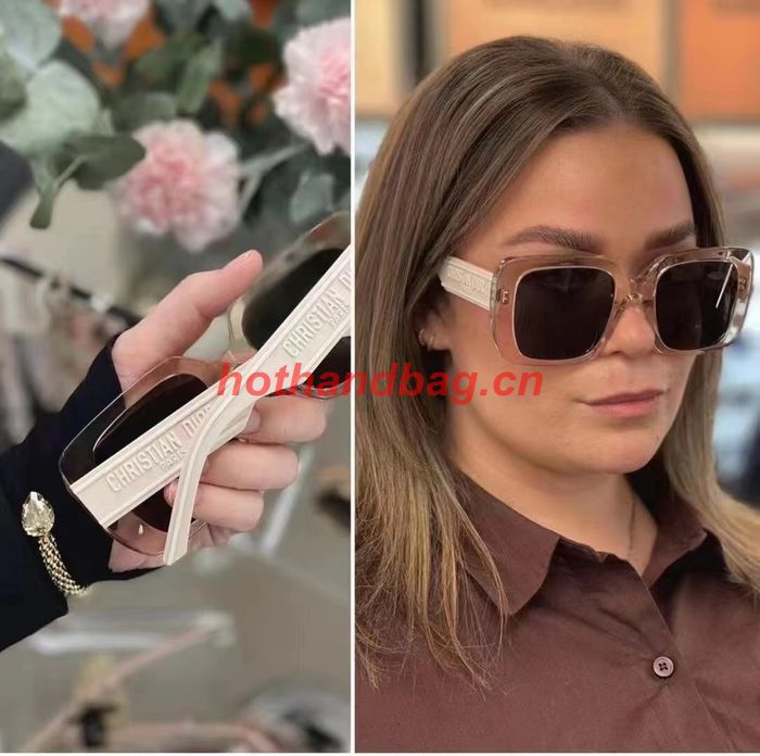 Dior Sunglasses Top Quality DIS02191