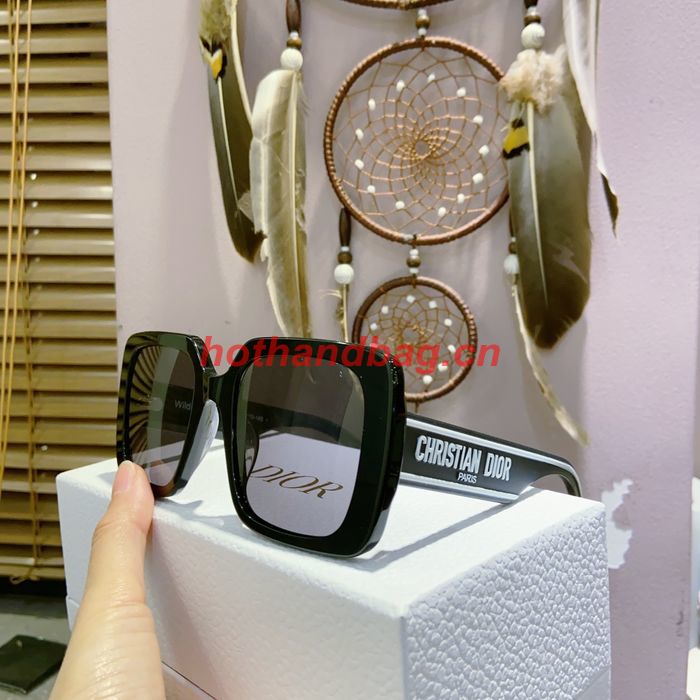 Dior Sunglasses Top Quality DIS02798