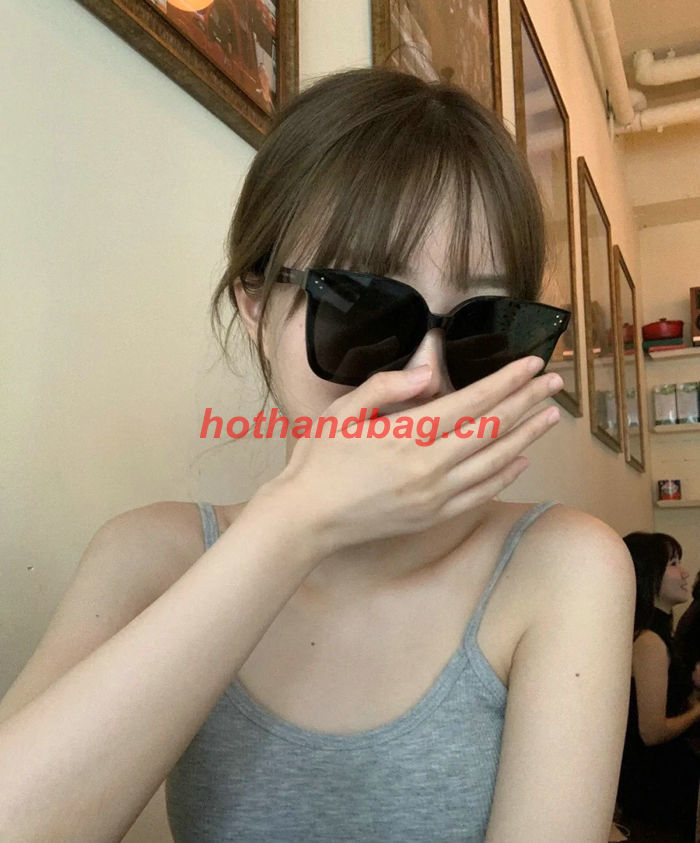 Hermes Sunglasses Top Quality HMS00047