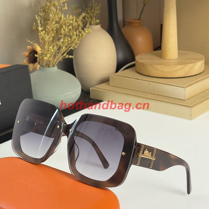 Hermes Sunglasses Top Quality HMS00052