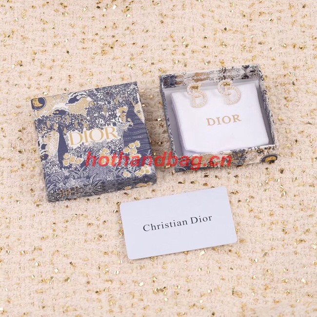 Dior Earrings CE11015