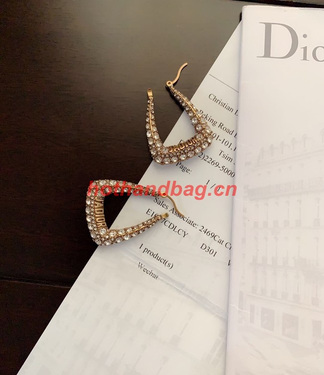 Dior Earrings CE11117