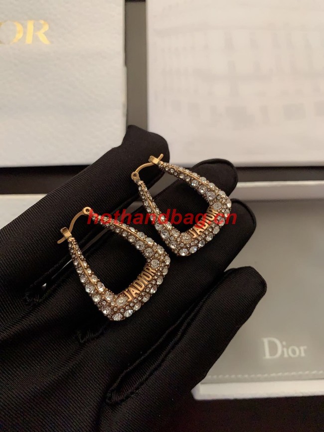 Dior Earrings CE11117