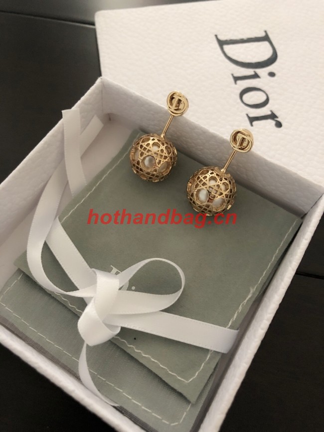 Dior Earrings CE11120