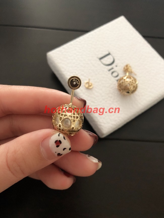 Dior Earrings CE11120