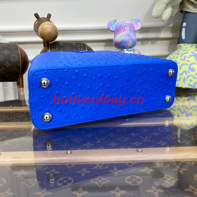 Louis Vuitton CAPUCINES BB M48865 blue