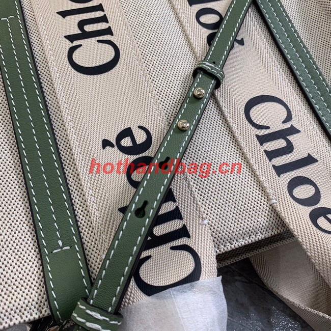 Chloe Cloth & leather 7576 green