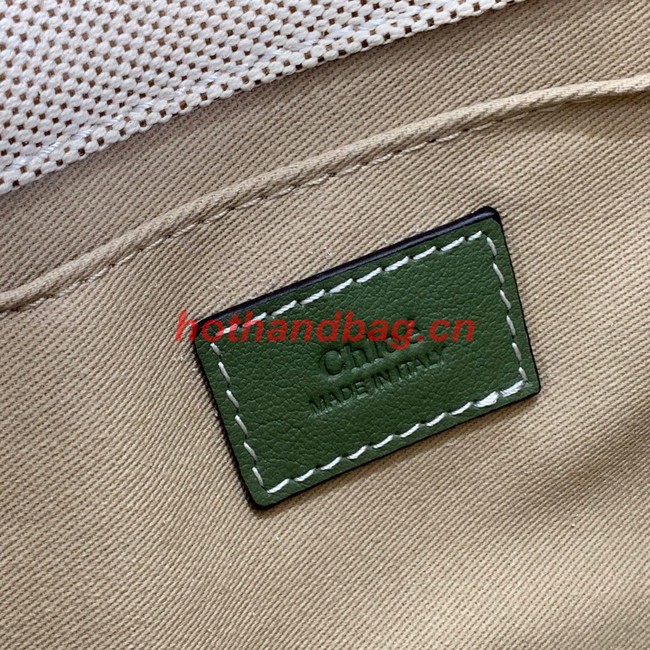 Chloe Cloth & leather 7576 green