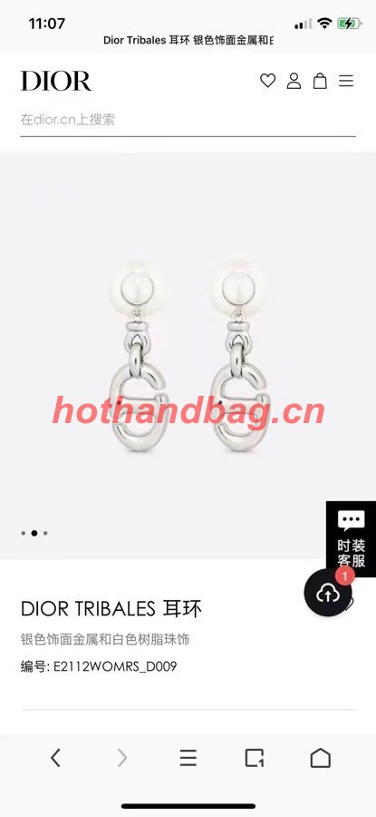 Dior Earrings CE11207