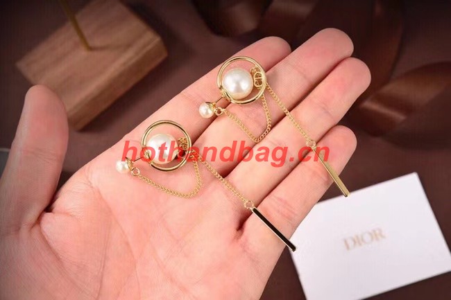 Dior Earrings CE11208