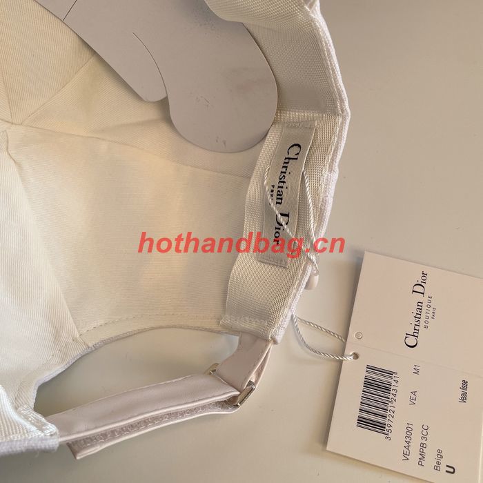 Dior Hat CDH00249