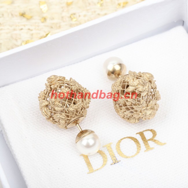 Dior Earrings CE11297