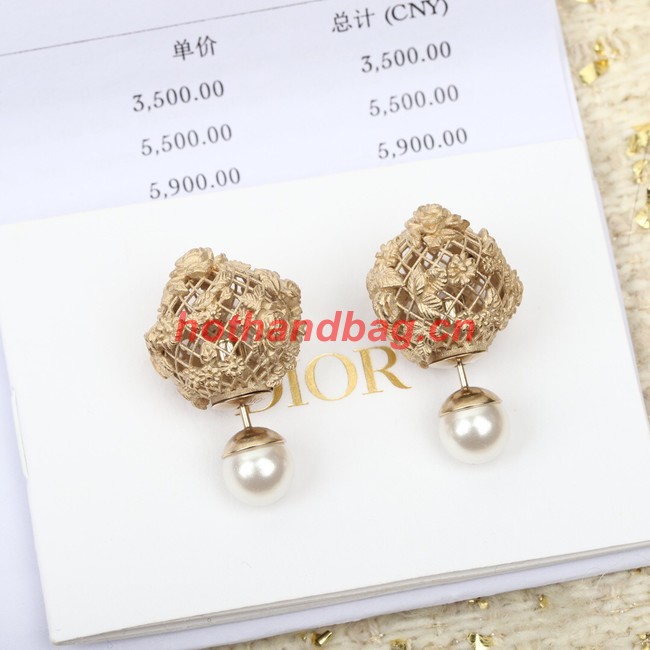 Dior Earrings CE11297