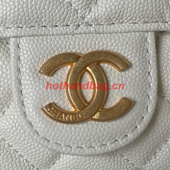 Chanel SMALL HOBO BAG AS3710 White